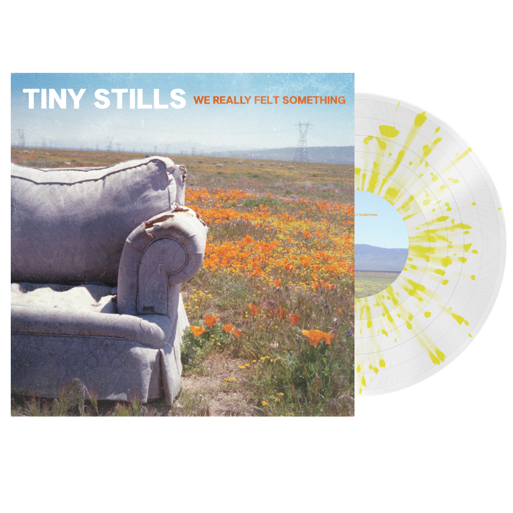 We Really Felt Something - Vinyl