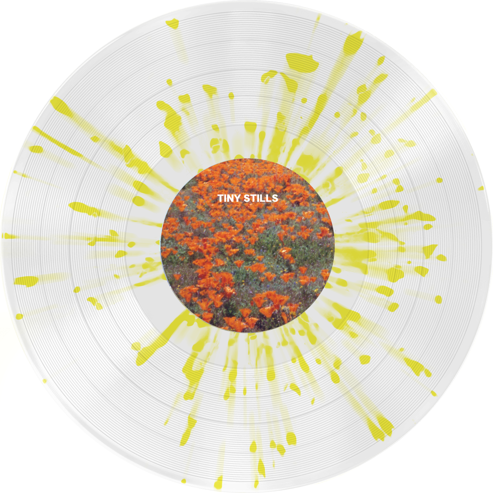 We Really Felt Something - Vinyl