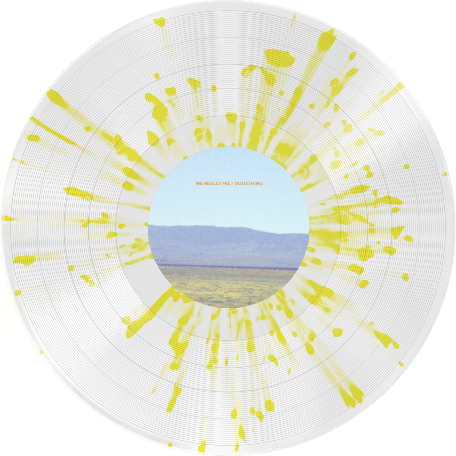 We Really Felt Something - Vinyl